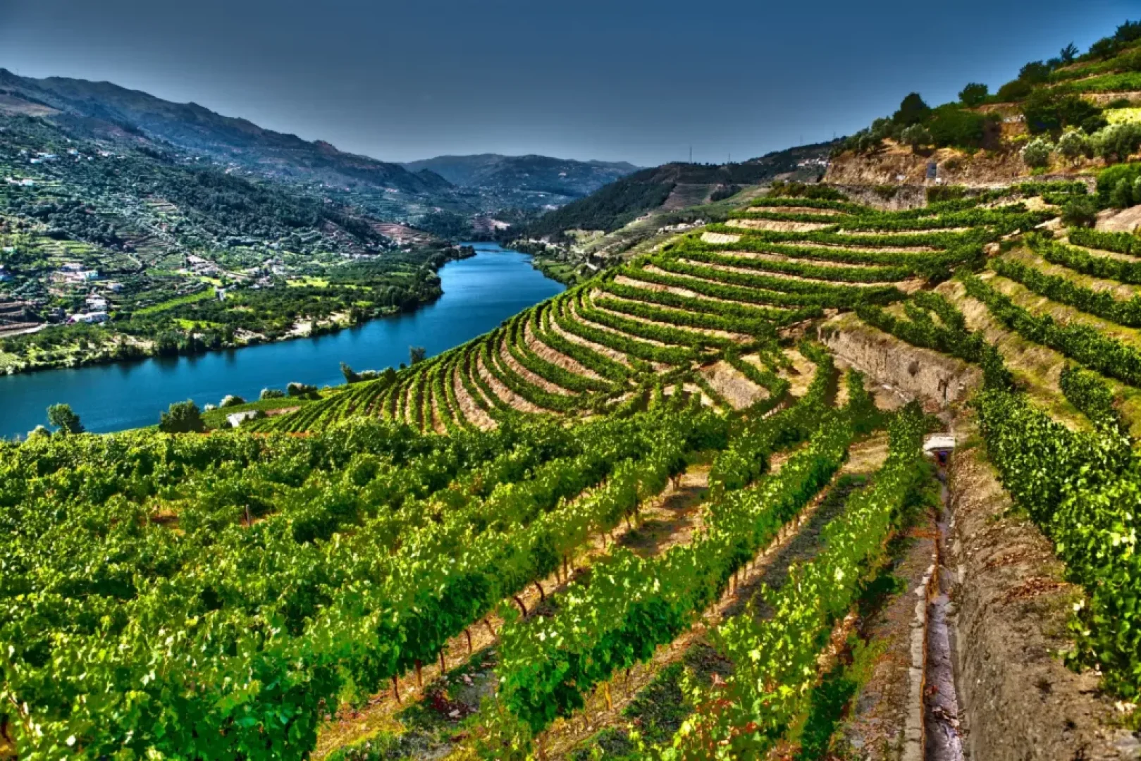 Douro Vadisi